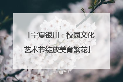 宁夏银川：校园文化艺术节绽放美育繁花